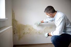 Mold Documentation for Insurance Claims in Neosho, MO